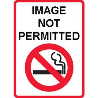 Cigar Partagas Coronas Junior A/T