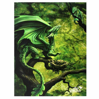 Canvas Plaque Small Forest Dragon 190x255mm GI032
