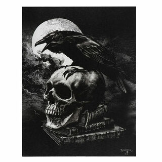 Canvas Plaque Poes Raven 190x255mm GI033