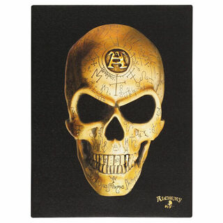 Canvas Plaque Omega Skull 190x255mm GI035