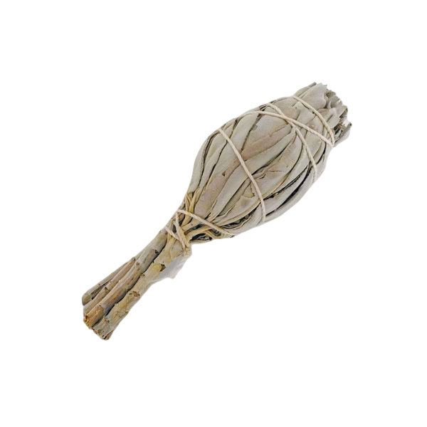 Smudge Stick White Sage 4 Inch Bagged IS200 EOL