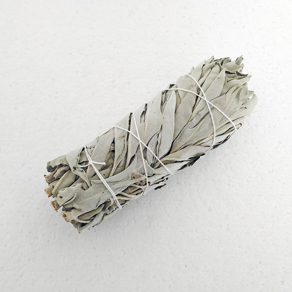 Smudge Stick White Sage 5 - 6 Inch Bagged IS201