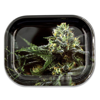 Rolling Tray Metal 180x140mm OG Kush Strains MH513 EOL